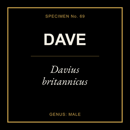 Dave Gift Idea T Shirt