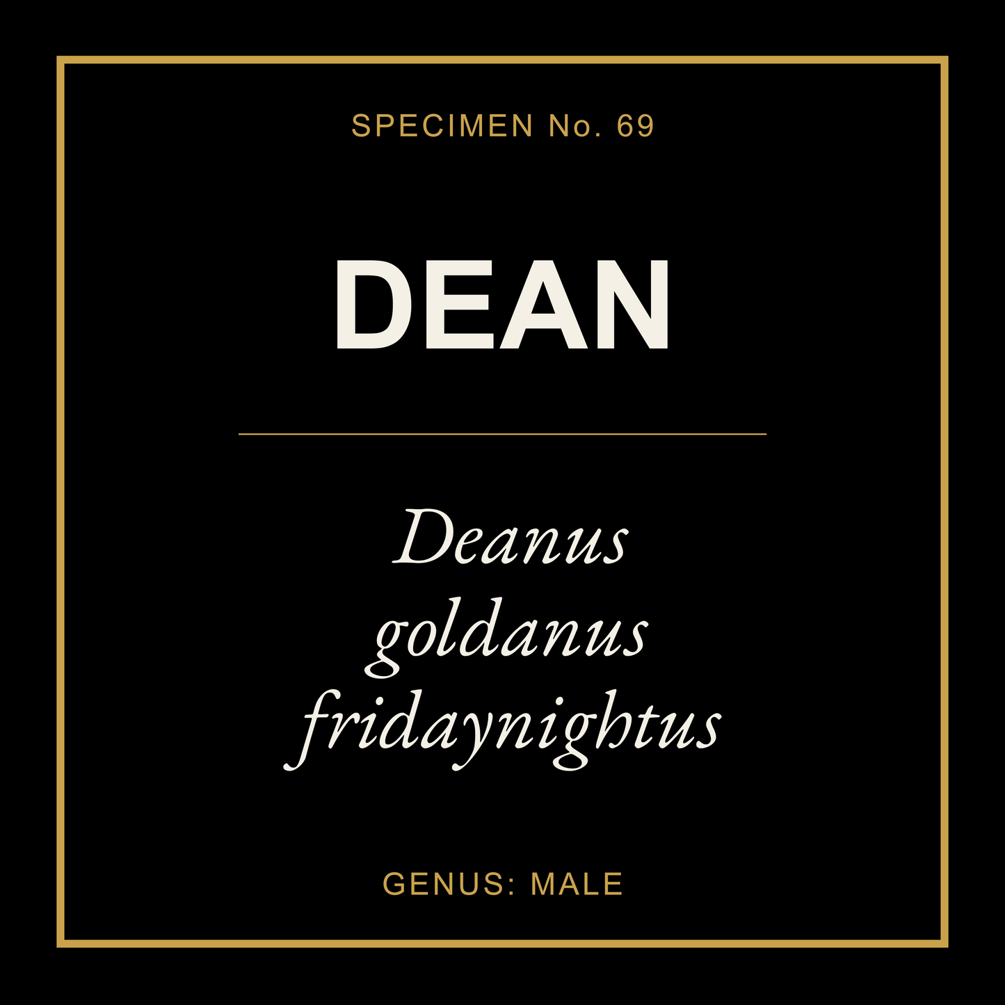 Dean Gift Idea T Shirt