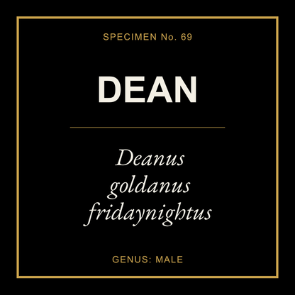 Dean Gift Idea T Shirt