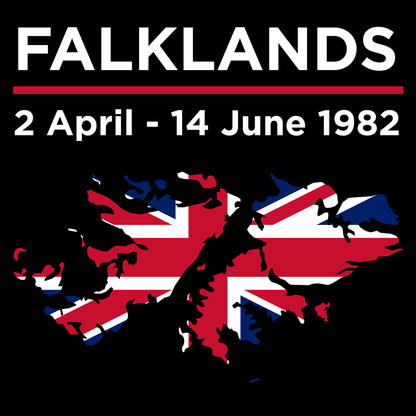Falklands War Hoodie