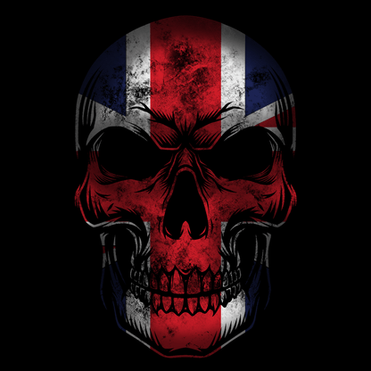 Flag Skull Unisex T Shirt