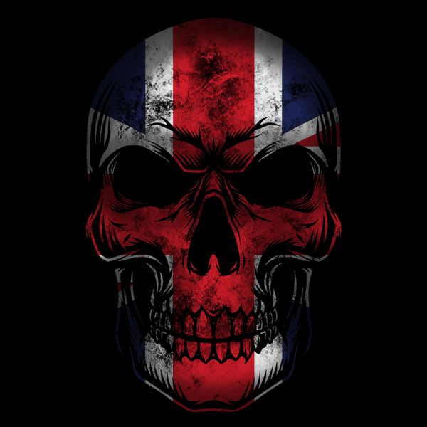 Flag Skull Unisex T Shirt