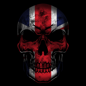 Flag Skull T Shirt - SALE