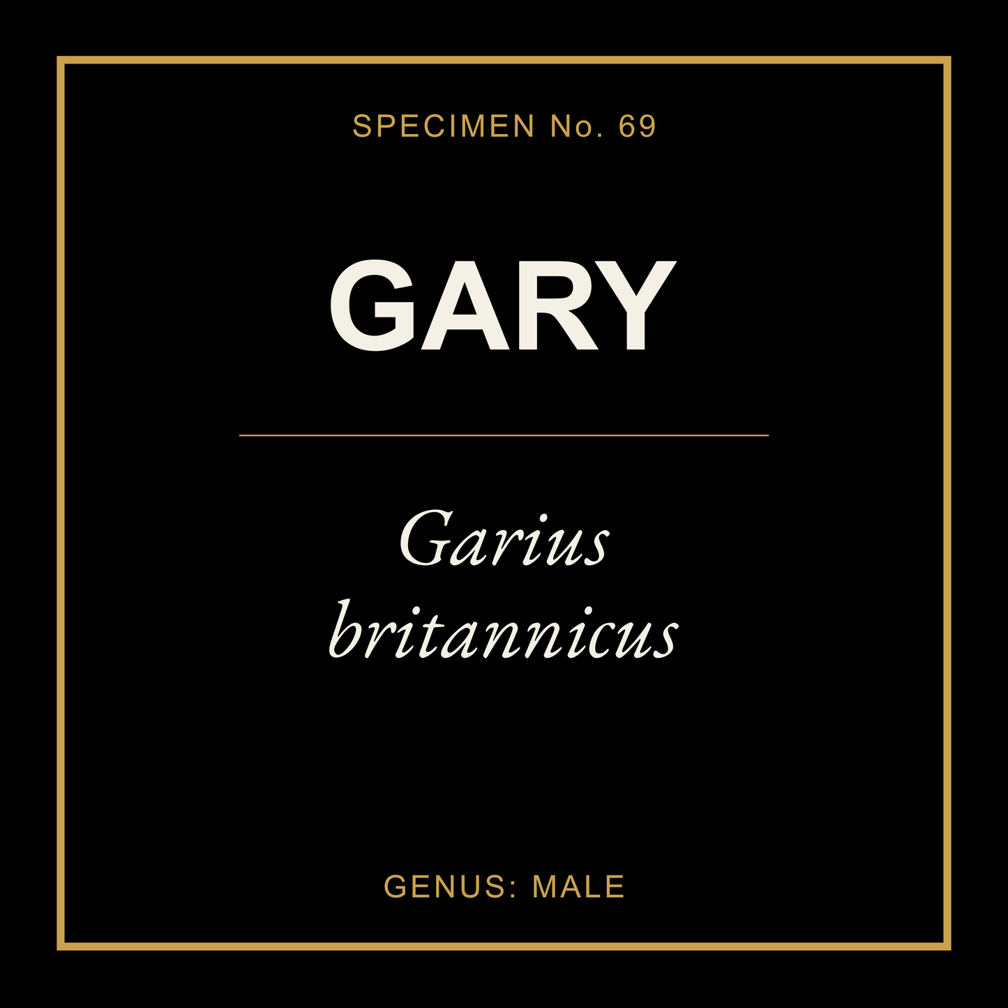 Gary Gift Idea T Shirt