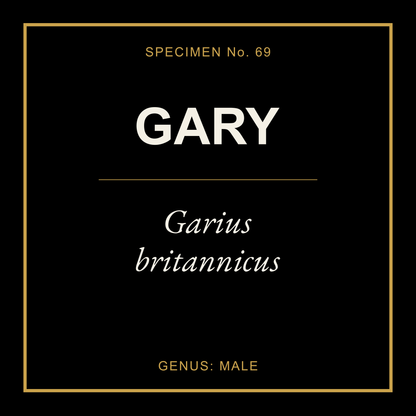 Gary Gift Idea T Shirt