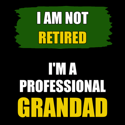 Funny Grandad Hoodie I'm A Professional Grandad