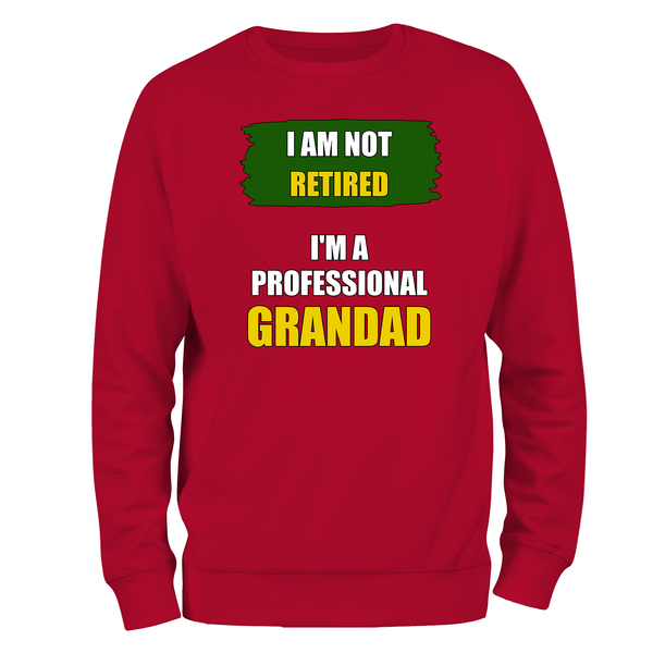 Funny Grandad Sweatshirt I'm A Professional Grandad