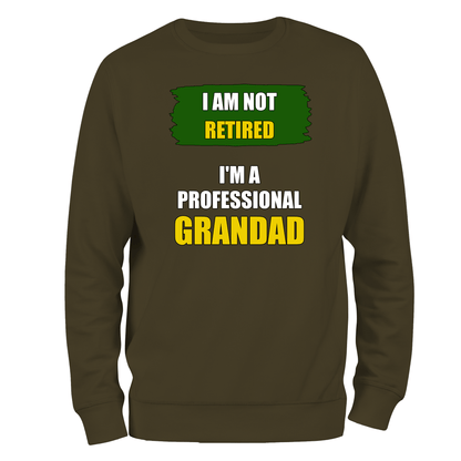 Funny Grandad Sweatshirt I'm A Professional Grandad