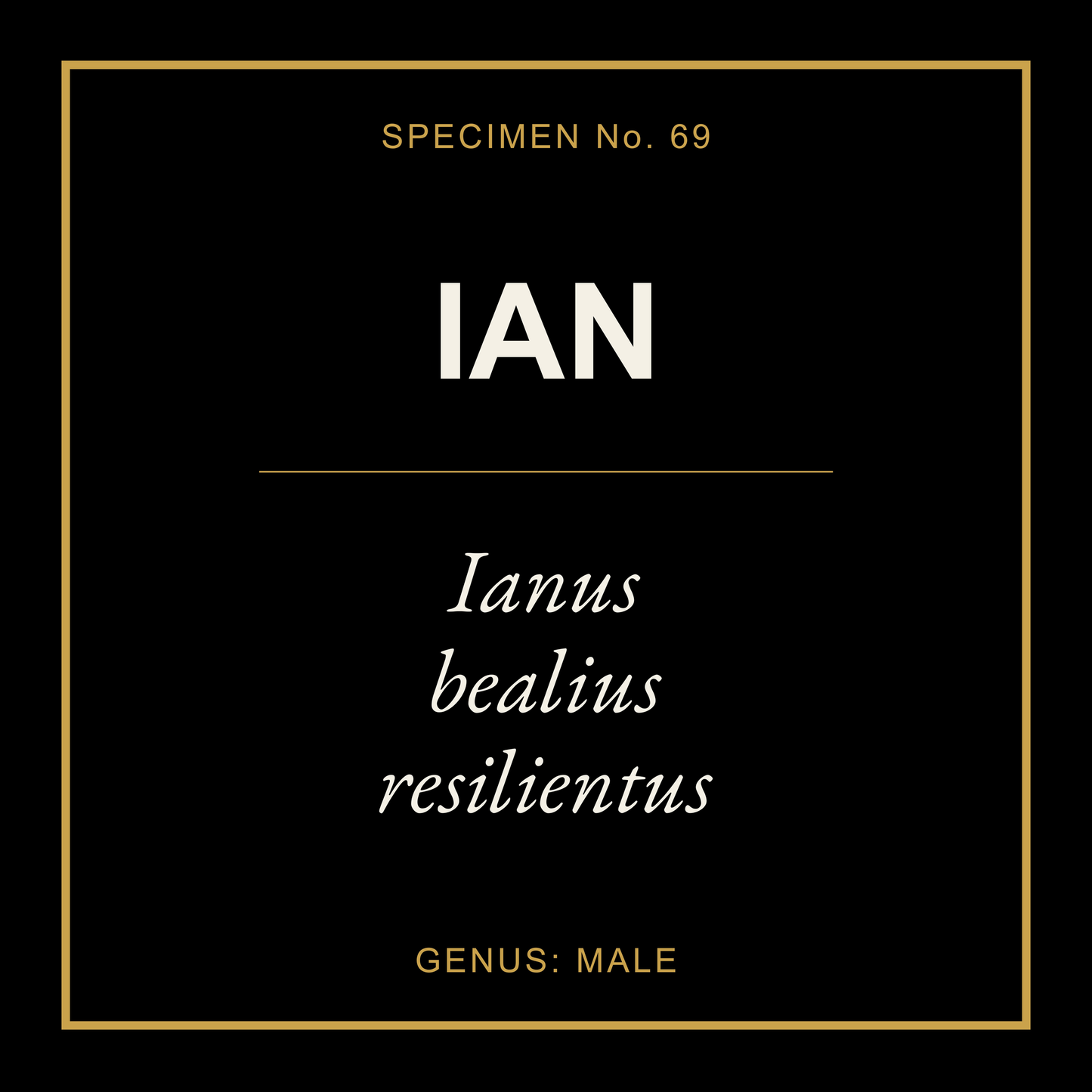 Ian Gift Idea T Shirt