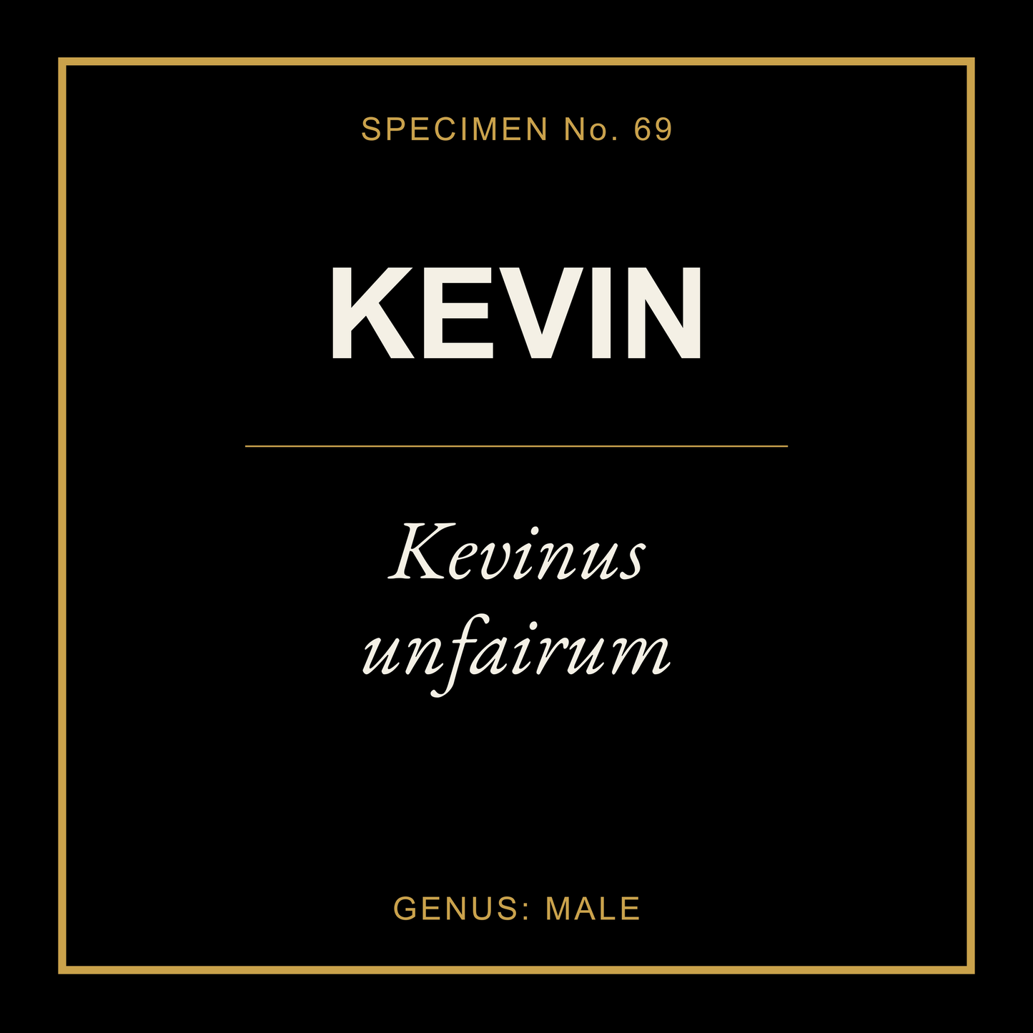 Kevin Gift Idea T Shirt