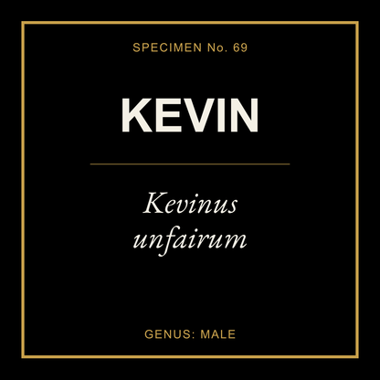 Kevin Gift Idea T Shirt