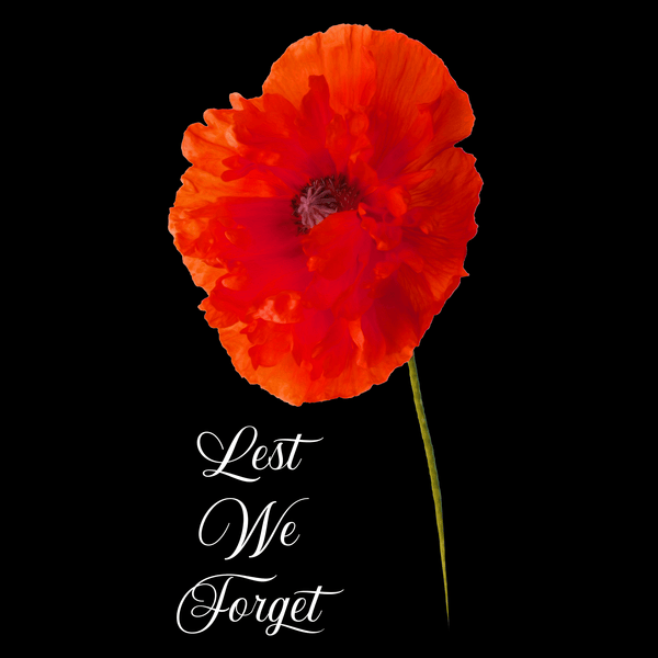 Remembrance Day Sweatshirt Lest We Forget (5)