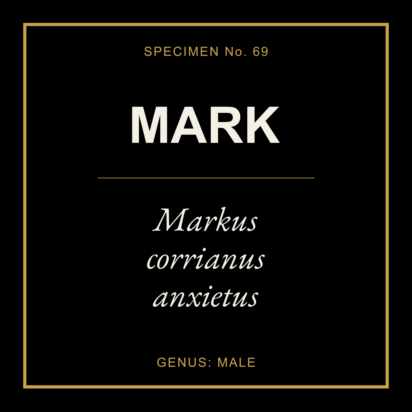 Mark Gift Idea T Shirt