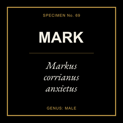 Mark Gift Idea T Shirt