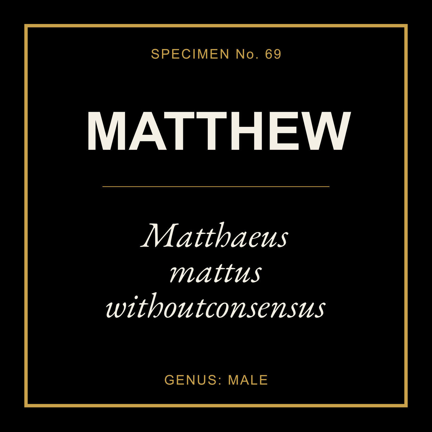 Matthew Gift Idea T Shirt