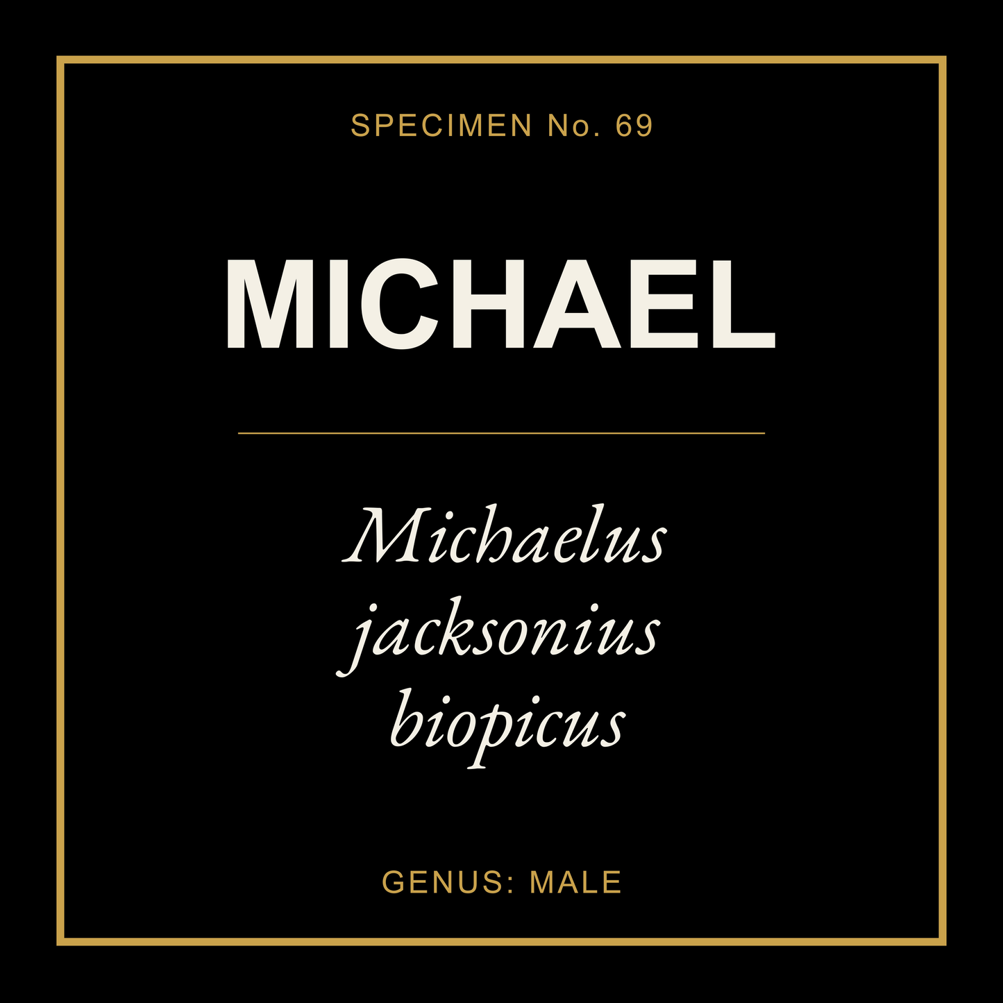 Michael Gift Idea T Shirt
