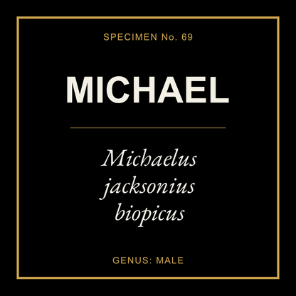 Michael Gift Idea T Shirt