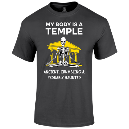 Funny Gym T Shirt My Body Temple