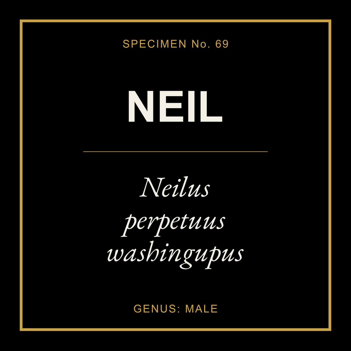 Neil Gift Idea T Shirt