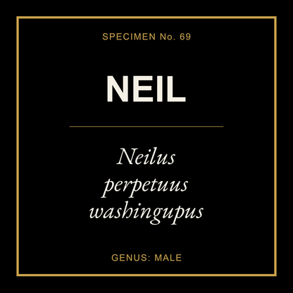 Neil Gift Idea T Shirt