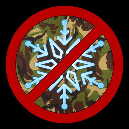 No Snowflakes T Shirt
