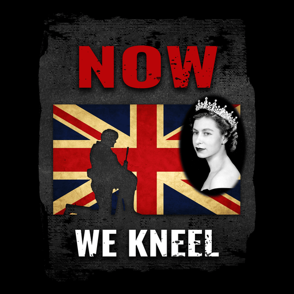 patriotic Hoodie Now We Kneel