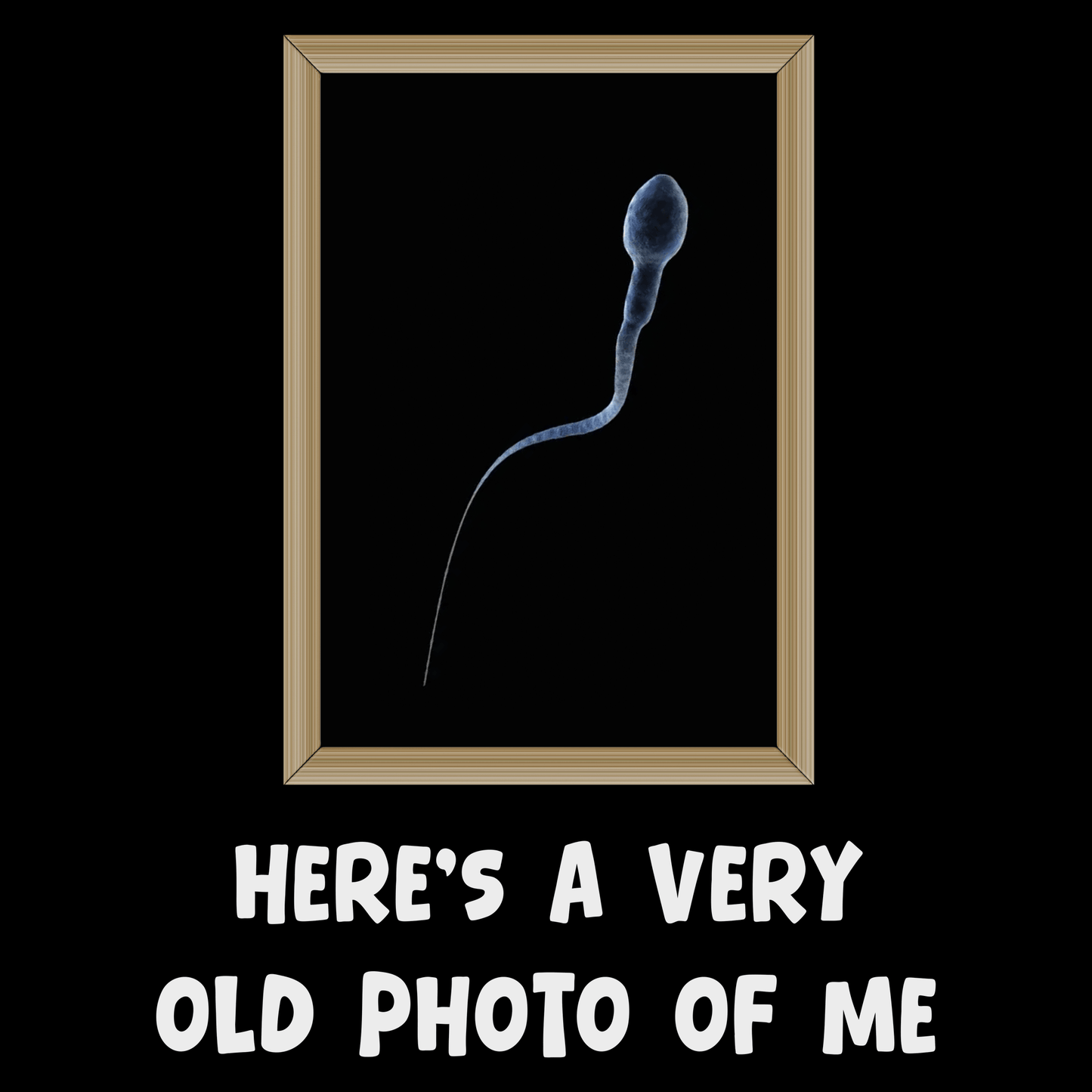 Old Photo Funny T Shirt by Lion Legion 