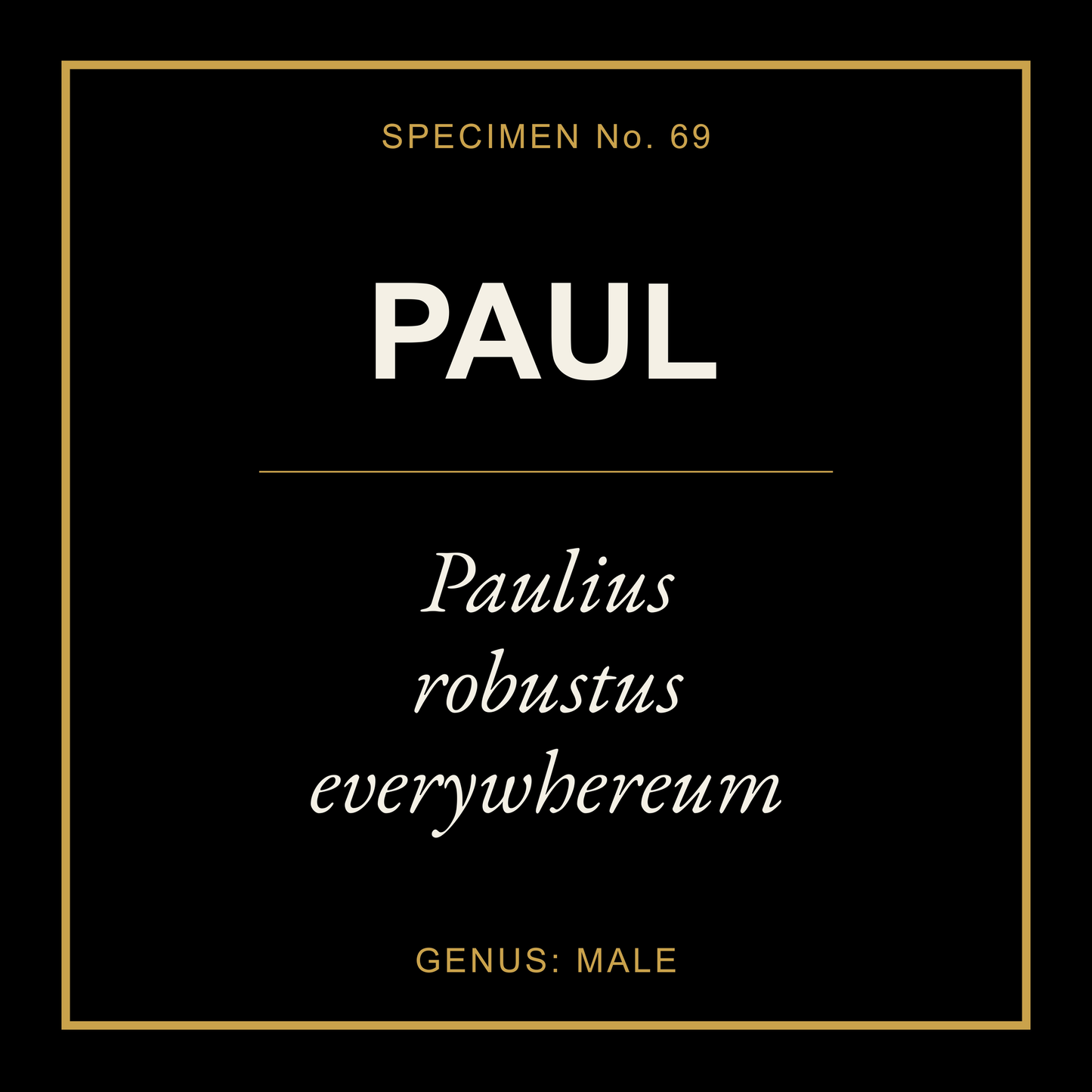 Paul Gift Idea T Shirt