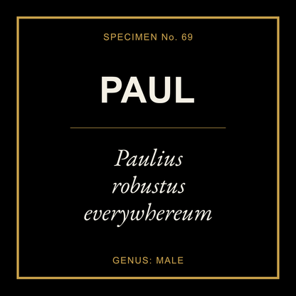 Paul Gift Idea T Shirt