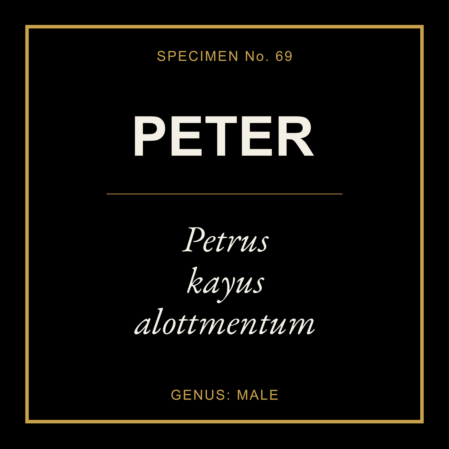 Peter Gift Idea T Shirt
