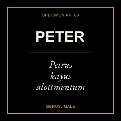 Peter Gift Idea T Shirt
