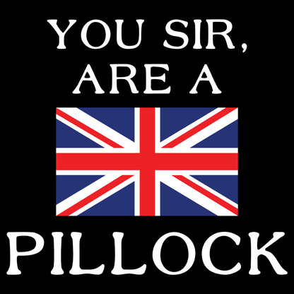 Pillock Funny T Shirt by Lion Legion 
