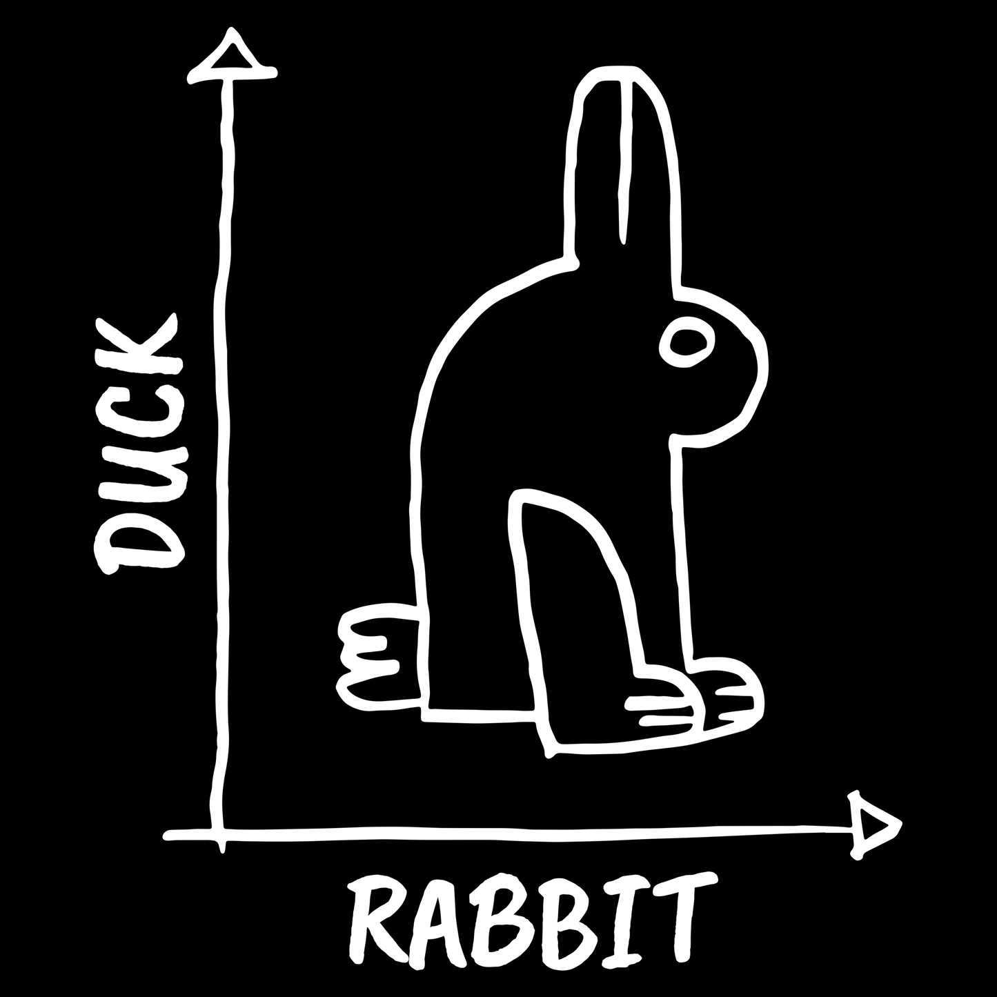 Funny T Shirt Rabbit Duck