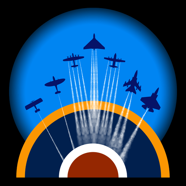 RAF Wings Of Freedom T Shirt