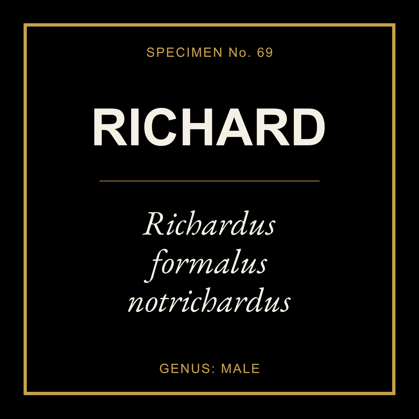 Richard Gift Idea T Shirt