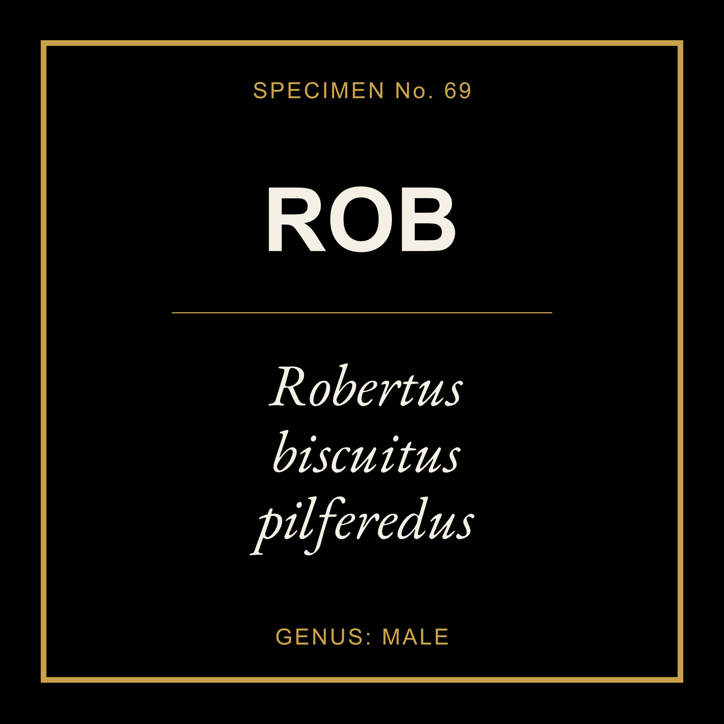 Rob Gift Idea T Shirt