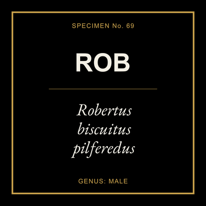 Rob Gift Idea T Shirt