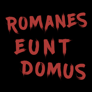 Romanes Eunt Domus T Shirt