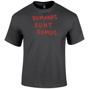 Romanes Eunt Domus T Shirt