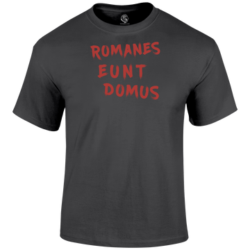 Romanes Eunt Domus T Shirt