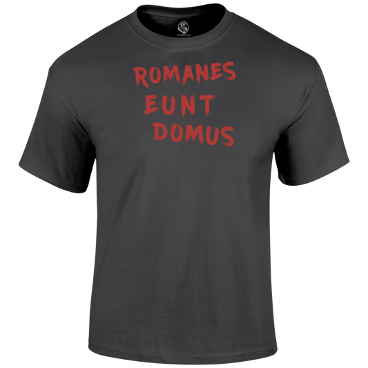 Romanes Eunt Domus T Shirt