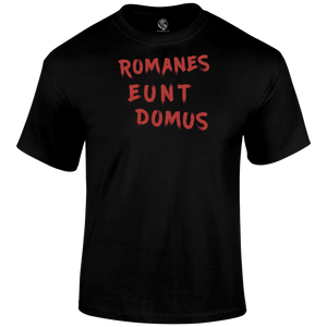 Romanes Eunt Domus T Shirt