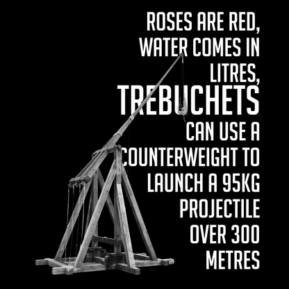 Valentine T Shirt Roses Are Red Trebuchet Tshirt