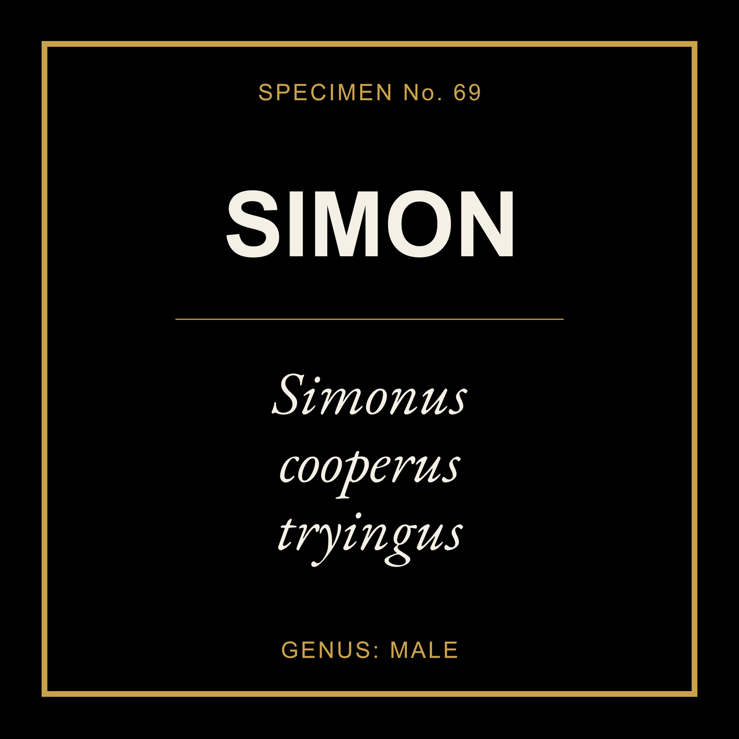 Simon Gift Idea T Shirt