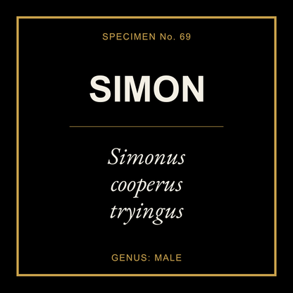 Simon Gift Idea T Shirt