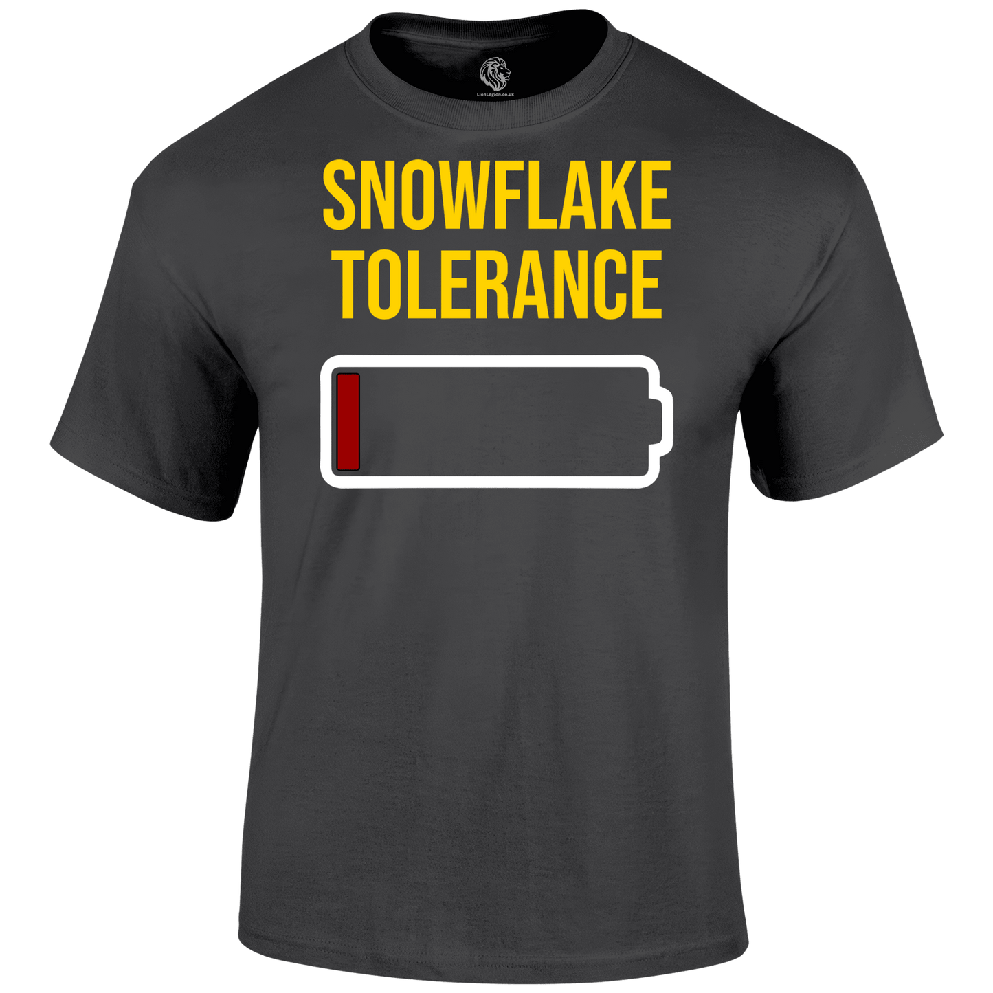 Snowflake Tolerance T Shirt
