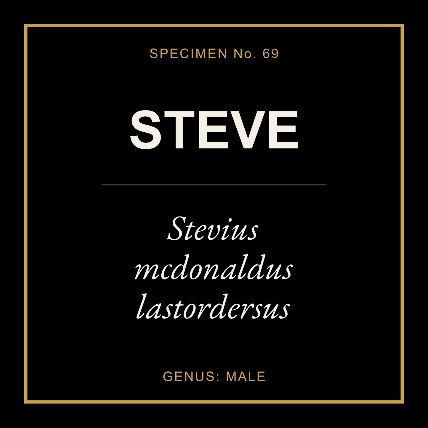 Steve Gift Idea T Shirt