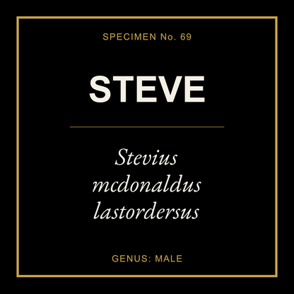 Steve Gift Idea T Shirt