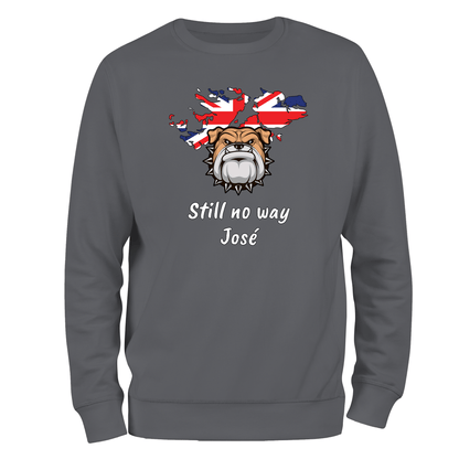 Still No Way Sweatshirt