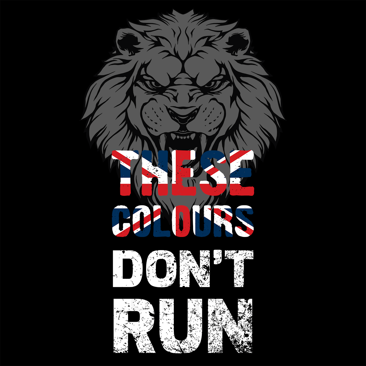 These Colours Don't Run Unisex Hoodie